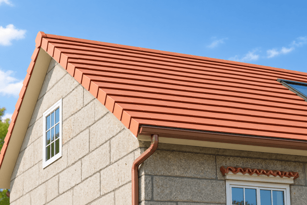 Project with a BMI roof 5